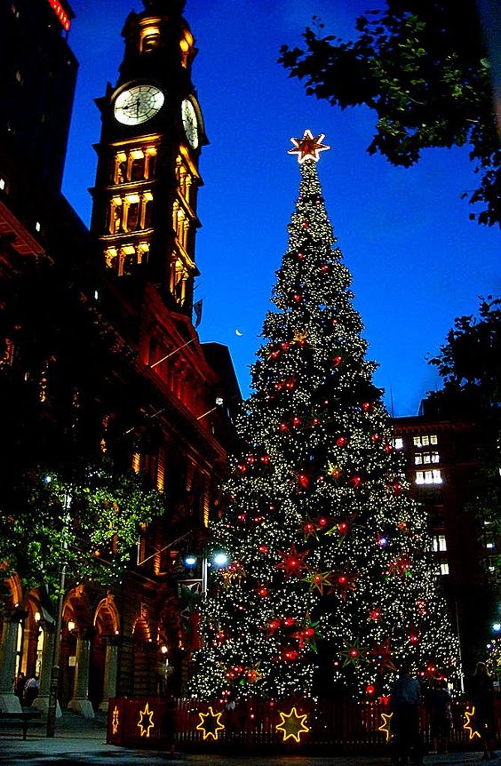 10-most-festive-places-to-spend-christmas-in-australia-santo-domingo